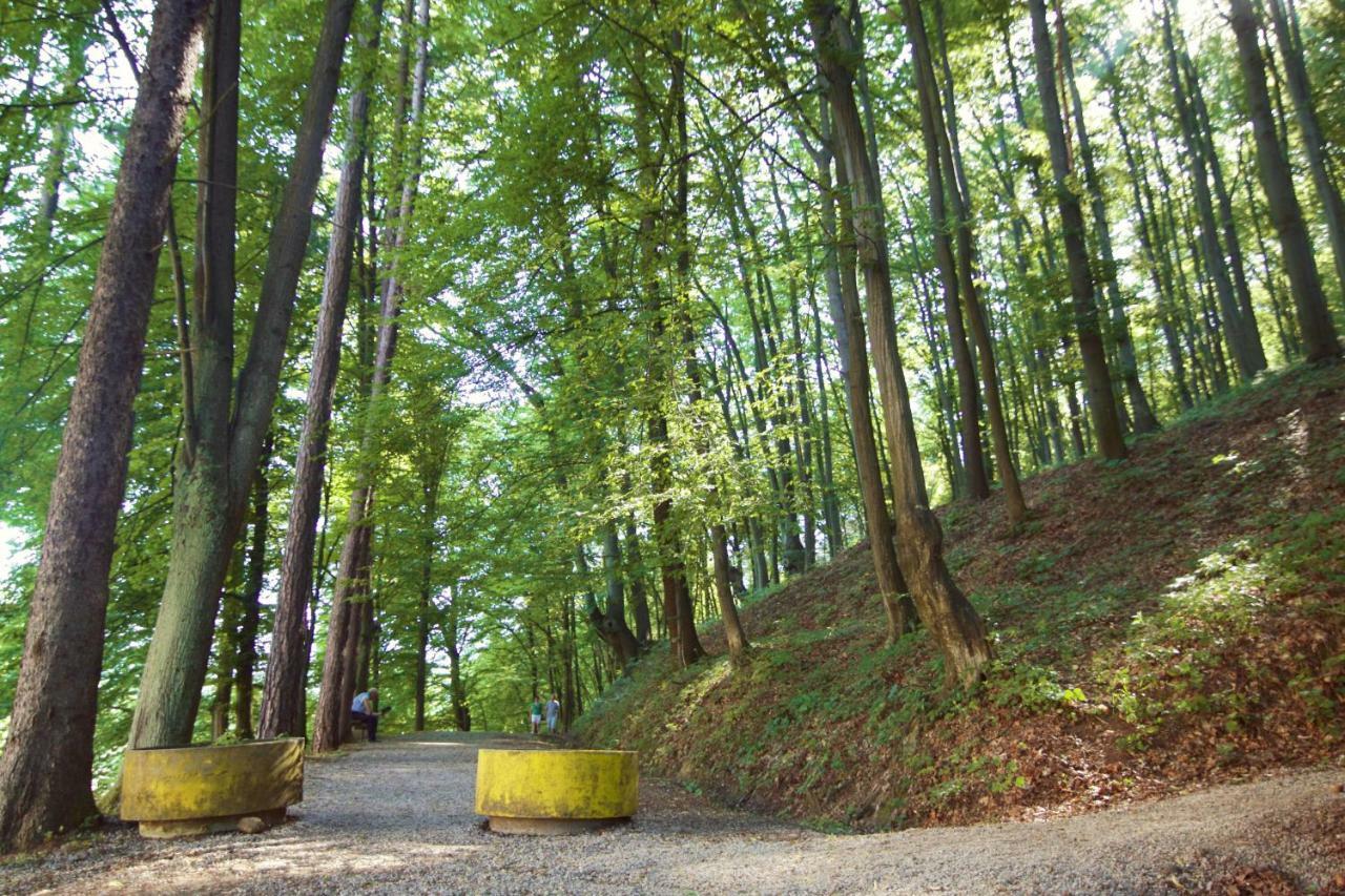 Apartman Nikolic,Banja Vrucica,Teslić Buitenkant foto